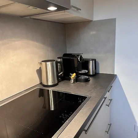 Stylish Oasis Near Frankfurt With Sunny Roof Terrace, 1 Bedroom Bickenbach (Hessen)